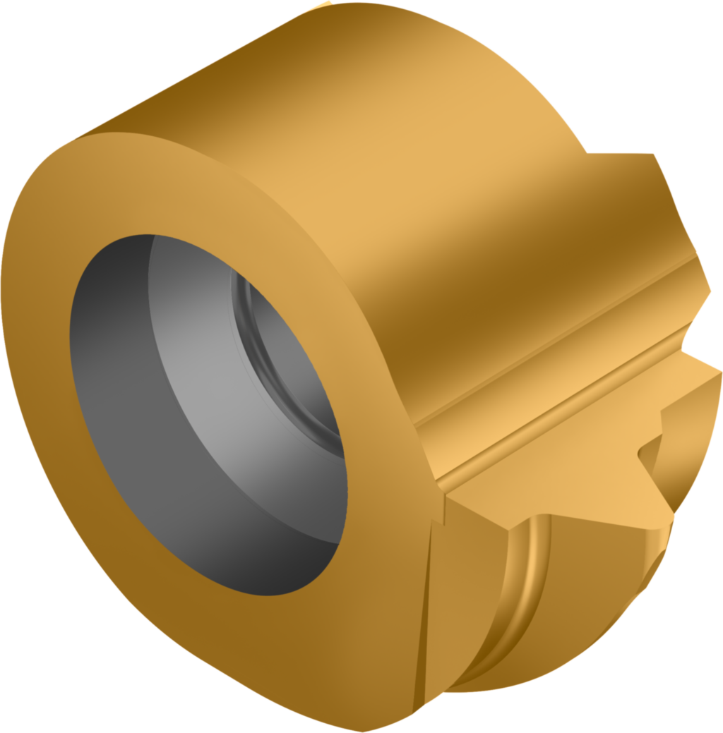 Cap interschimbabil - profil complet, Whitworth 55° WE07-IR10-W14 WSM23X