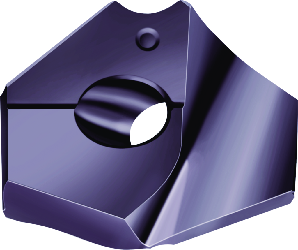 Plăcuţe amovibile P6003-D29,50R WMP35