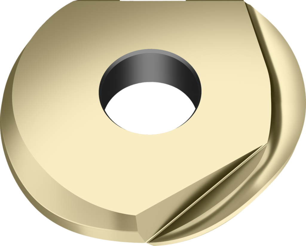 Plăcuţe de copiere-finisare P3204-D07.94 WSP46G